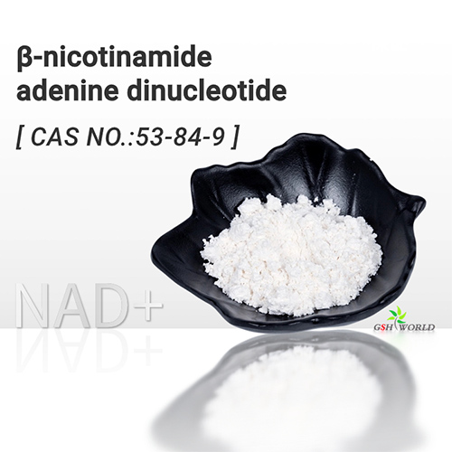Bulk β-nicotinamide adenine dinucleotide NAD+ Powder suppliers & manufacturers in China