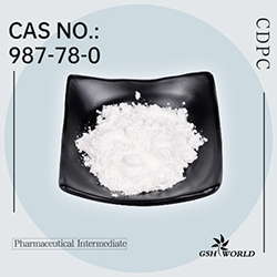 Bulk Citicoline Powder