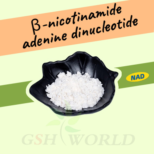 Bulk β-nicotinamide adenine dinucleotide NAD+ Powder suppliers & manufacturers in China