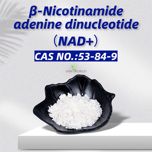 Bulk β-nicotinamide adenine dinucleotide NAD+ Powder suppliers & manufacturers in China