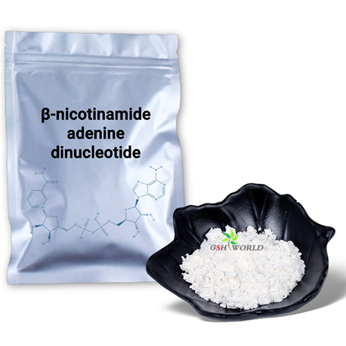 Bulk β-nicotinamide adenine dinucleotide NAD+ Powder suppliers & manufacturers in China