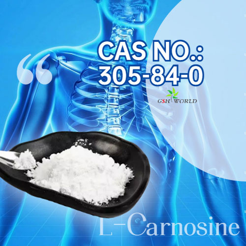 Carnosine Factory Supply Cometic/ Food Grade Raw Material 27025-41-8