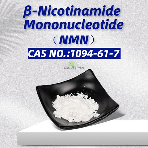 Bulk NMN Powder